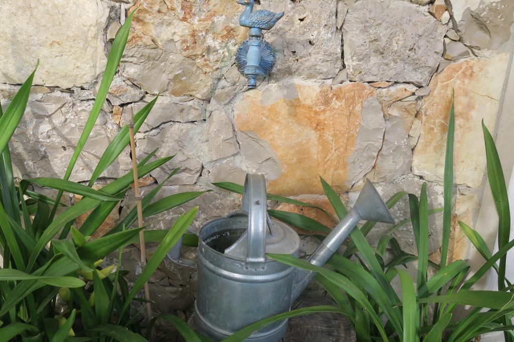 Noz Por Ca... Turismo Em Espaco Rural Alcaria  Exterior foto